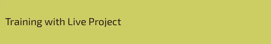Training with Live Project